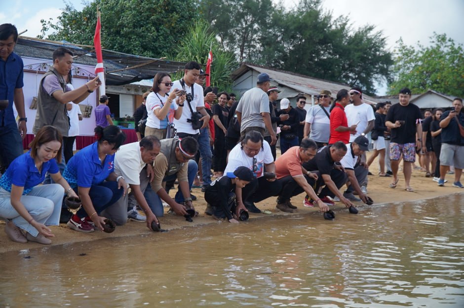 Strengthening Sea Turtle Conservation in Bali: Udayana University Faculty of Law and Tanjung Benoa Turtle Conservation Groups Release 300 Hatchlings