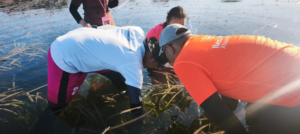 Unud Gali Potensi “Karbon Biru” Teluk Benoa, Dukung Skema Carbon Trading Nasional dan Agenda Net Zero Emission 2060