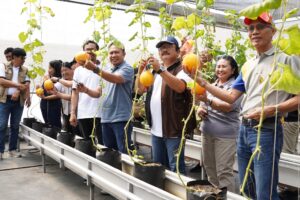 Udayana Memanen 2026, Perkuat Hilirisasi dan Pengembangan Produk Pangan