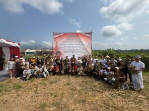 Perkuat Kemandirian Pangan Bali, FP Unud Bersama Petani Panen Perdana Bawang Putih Lokal di Tabanan